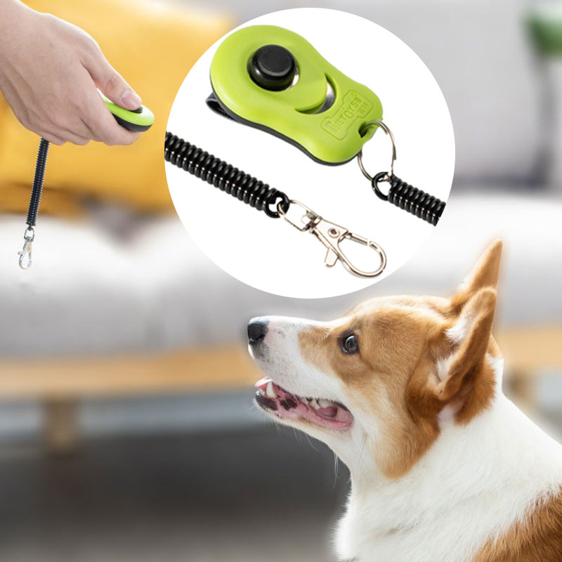 Jamper Click Trainer dog training clicker tool