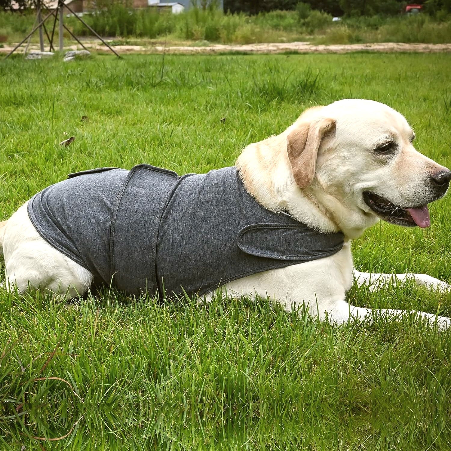 The Calm Wrap