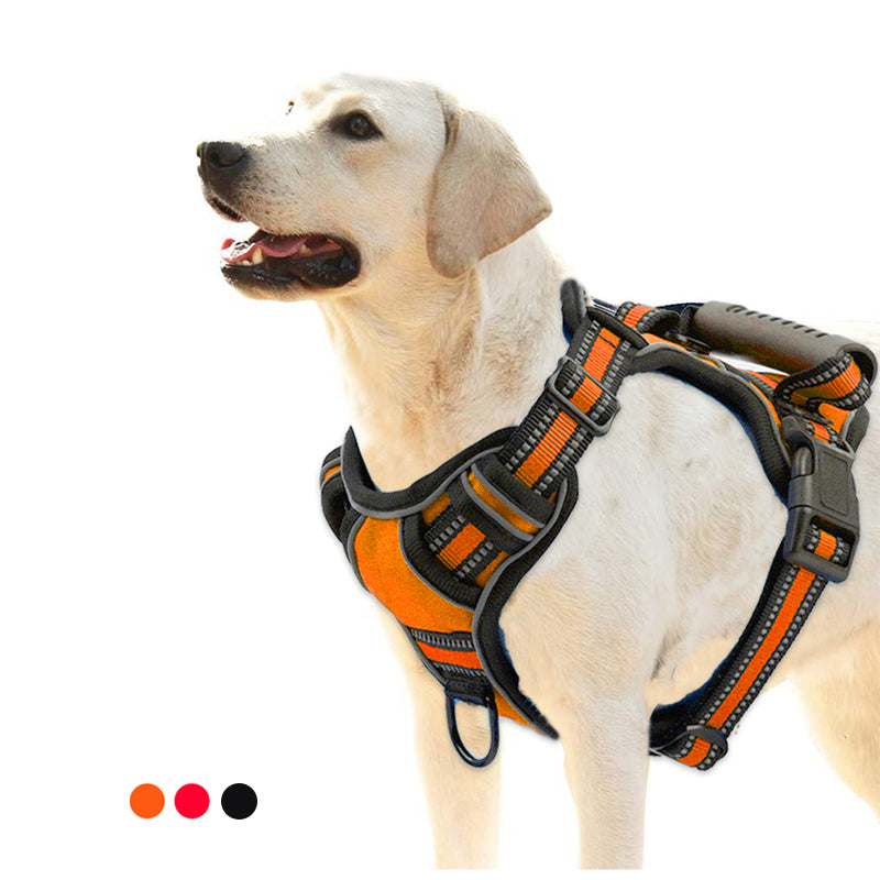 Jamper Freedom Harness no-pull dog harness with reflective strips