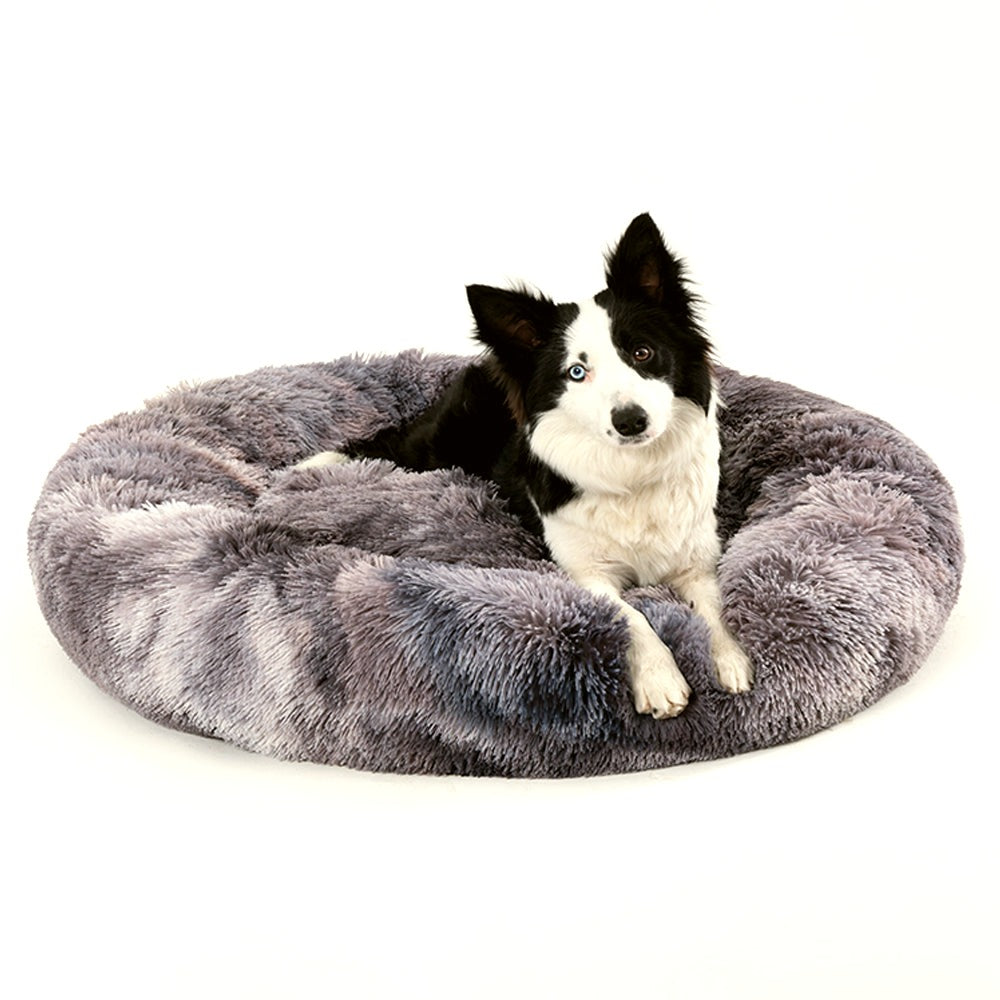 The Cloud Donut
