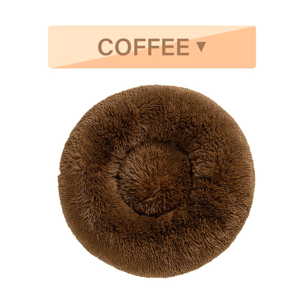 The Cloud Donut