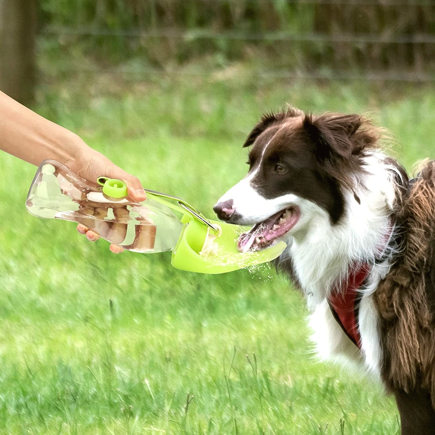 Jamper Trail Bottle portable dog water dispenser