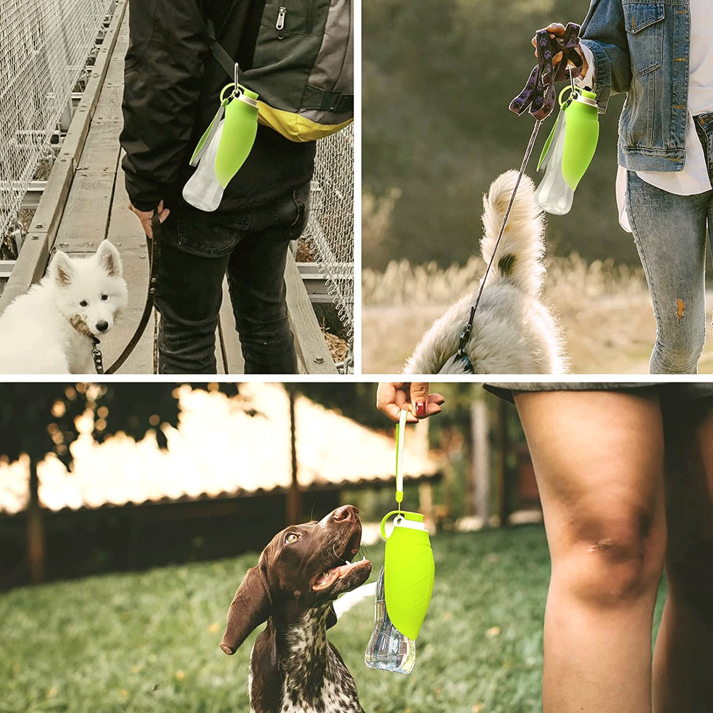 The Trail Bottle